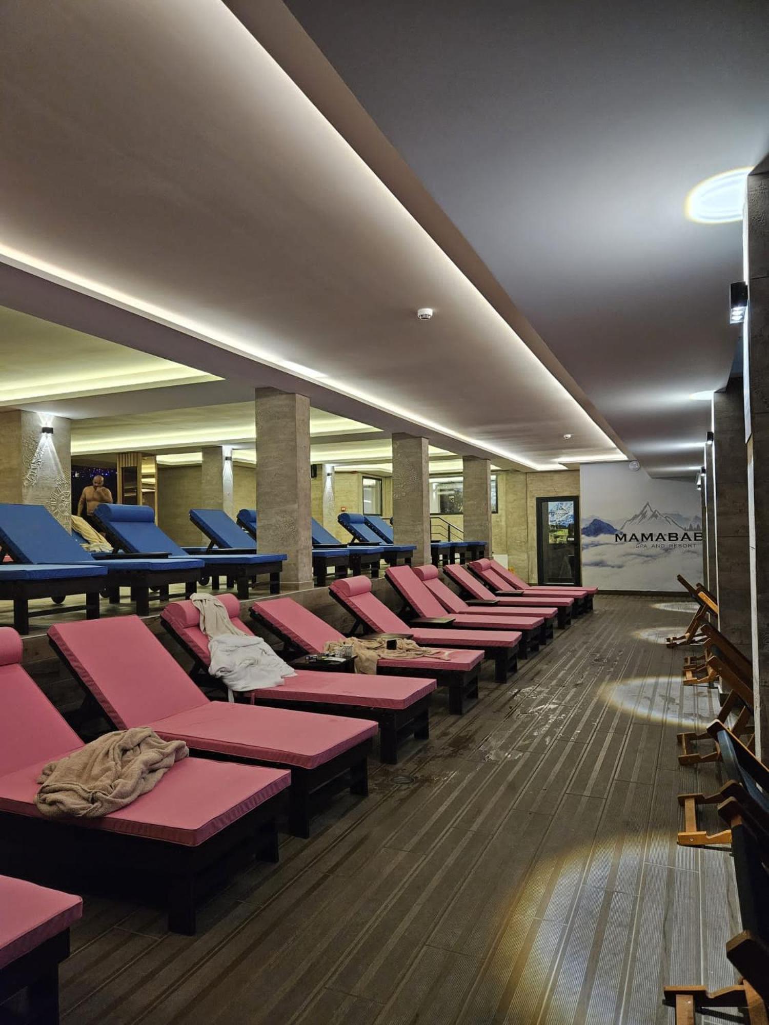 Ivkovic Spa Milmari N16 Kopaonik Extérieur photo